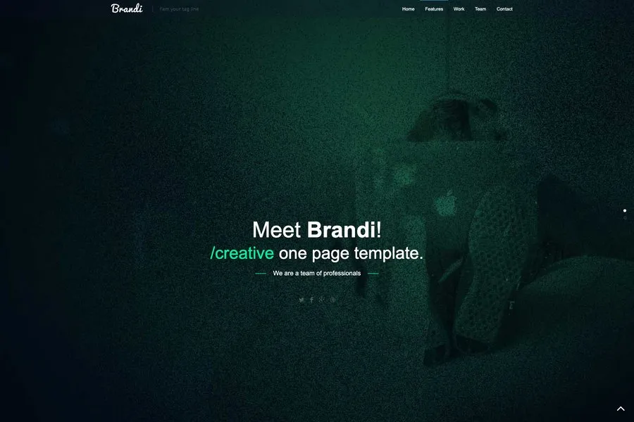 Brandi Bootstrap template