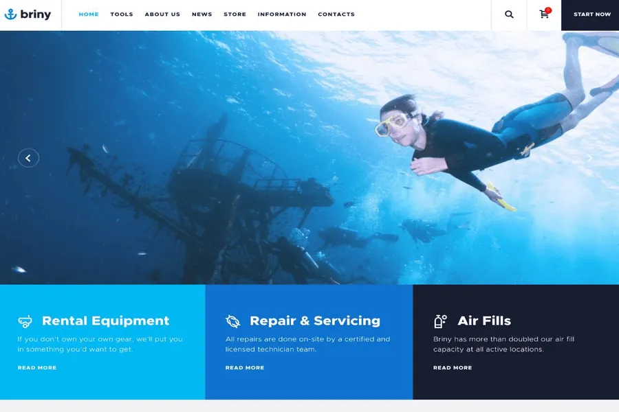 briny responsive tourism website template