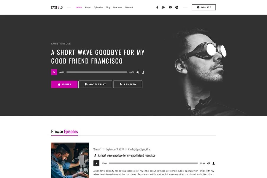 castilo wp podcast website theme