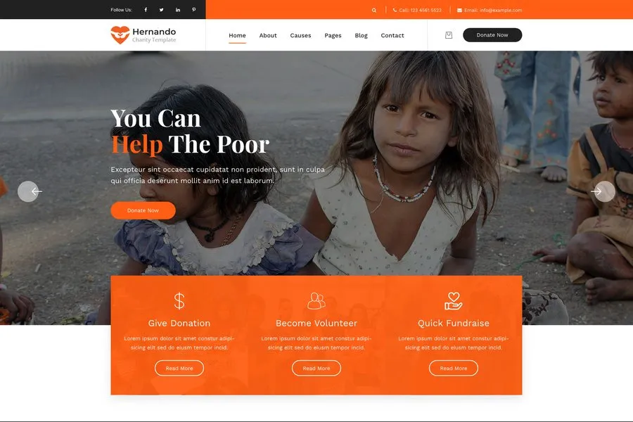 Hernando - professional ngo website template