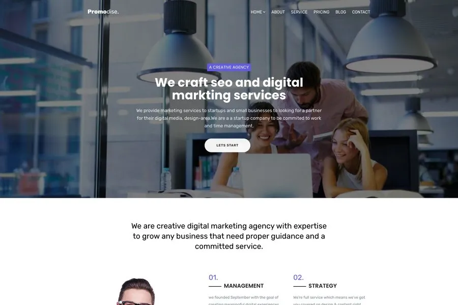 Promodise responsive template